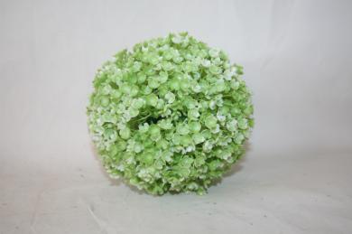 WHITE+GREEN