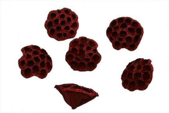 LOTUS BIG 6PC/BAG