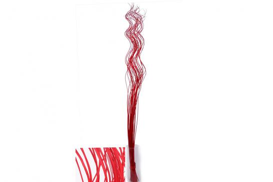 half curly willow 80cm 40pc/bu