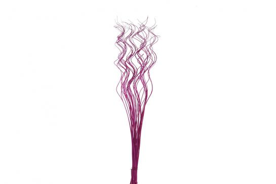 half curly willow 100cm 