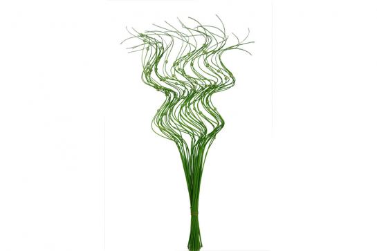 half curly willow 60CM 40PCS/BUN with pearls(2pearls / willow)