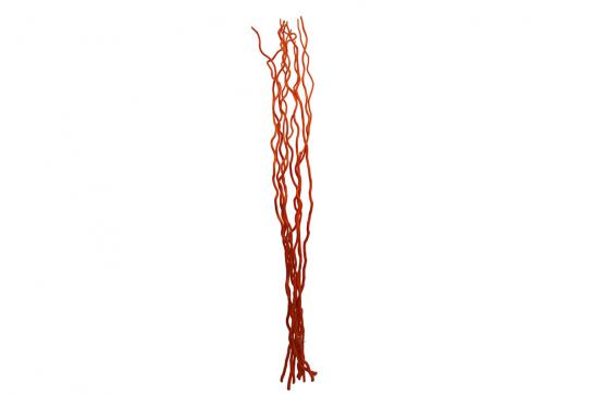 KUWA 150CM 3PCS/BUN