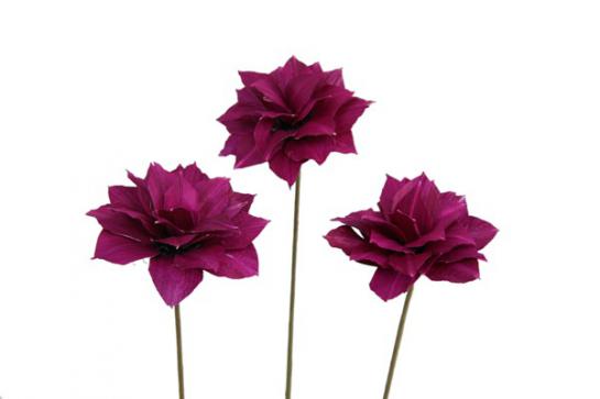 DALIA 54CM,3PCS/BUN