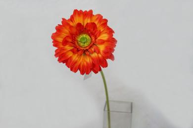 ORANGE J40J50