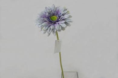 LAVENDER V30B10G40