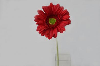 RED R45K50