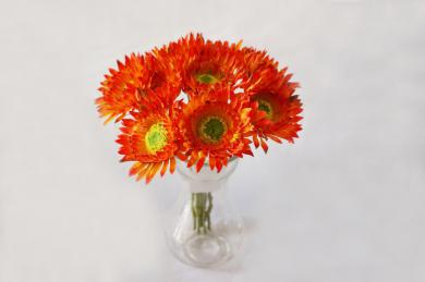 ORANGE J40J50
