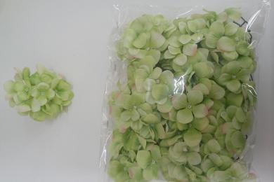 GREEN G20P54