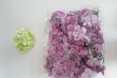 PURPLE V20P70G25