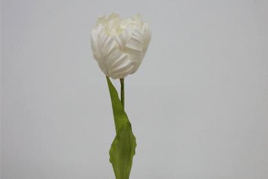 WHITE W15