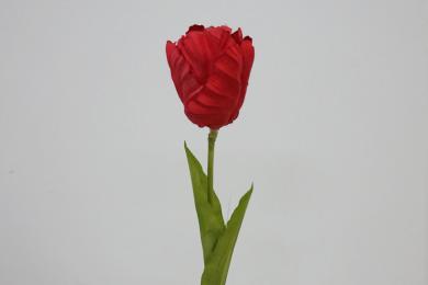 RED R40J30