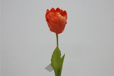 ORANGE J40Y30
