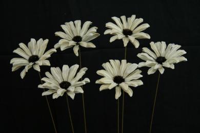 650