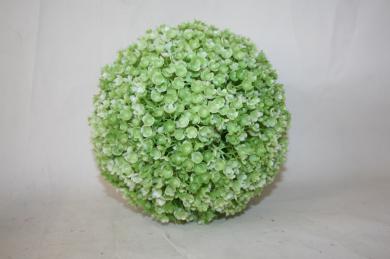 WHITE+GREEN