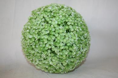 GREEN+WHITE