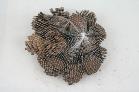 PINE CONES 3CM-4CM