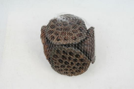 LOTUS PODS 6PCS IN NETBAG
