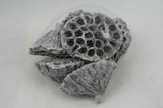  LOTUS PODS