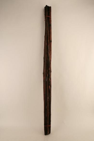BROWN 500