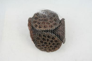 LOTUS PODS 6PCS IN NETBAG