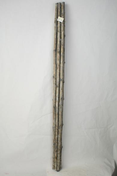 WW656