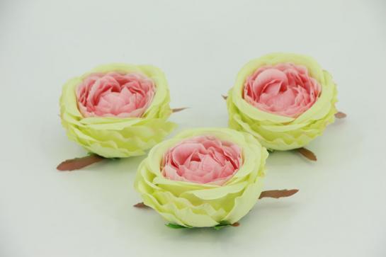 AUSTIN ROSE HEAD 10CM,12PC/BAG
