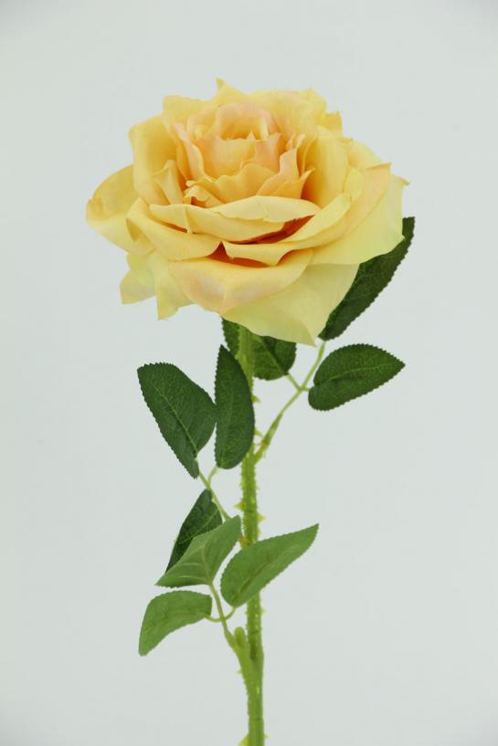 angle rose dia 13cm ,stem 47cm