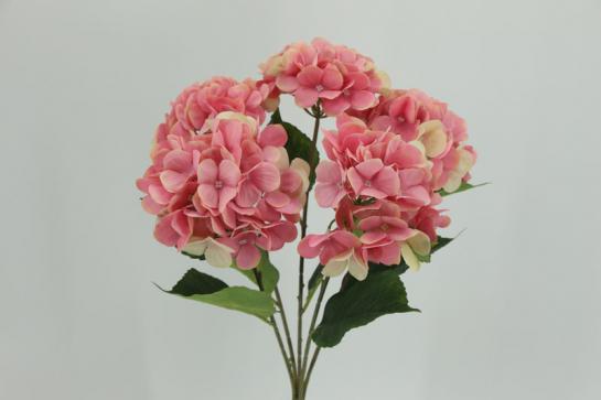 hydrangea bush X5 ,stem 46cm