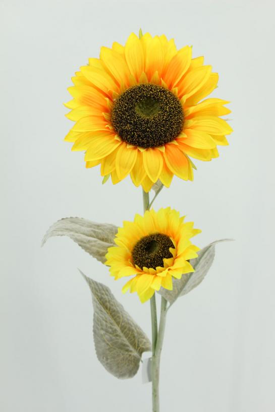 SUNFLOWER 2HEADS DIA27CM/18CM, L:110CM