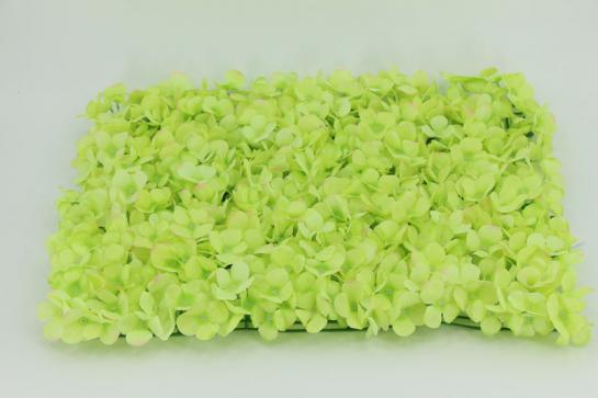 HYDRANGEA LAWN 40X60CM