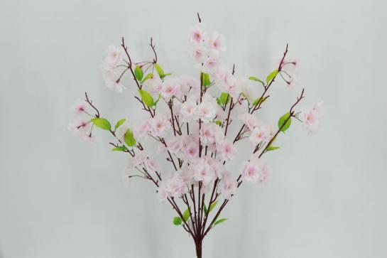 CHERRY BUSHX7,72CM
