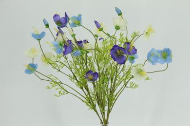 COSMOS BUSH