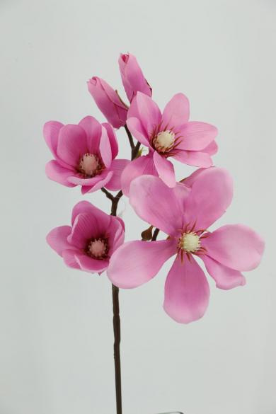 PINK P60