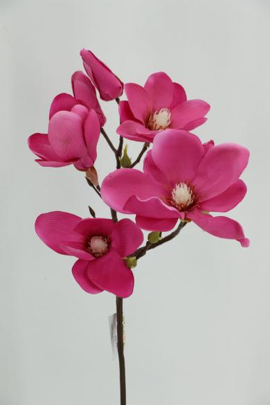 FUCHSIA P65P30