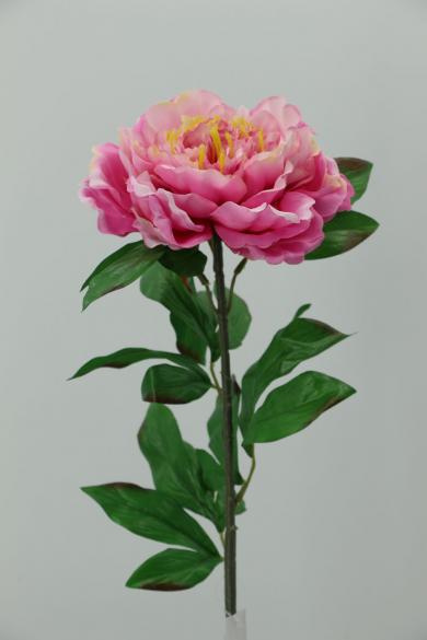 single peony dia 15cm stem 83cm