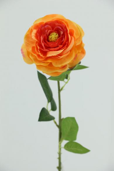 J50J30