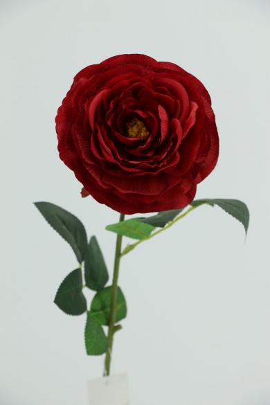 R50