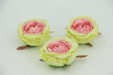 AUSTIN ROSE HEAD 10CM,12PC/BAG