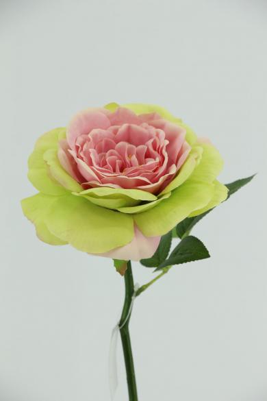 ROSE WITH 23CM STEM