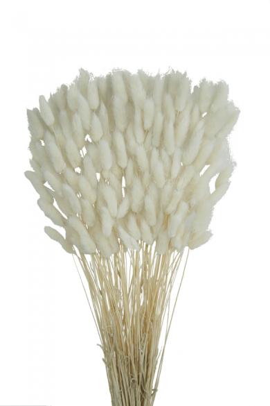 650
