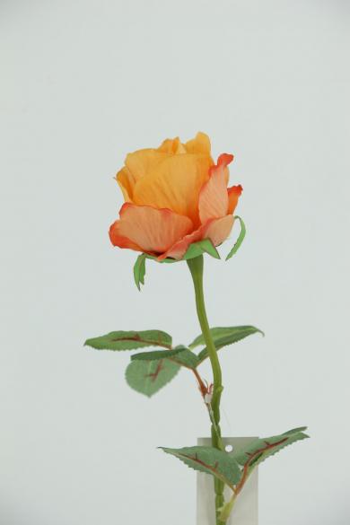 J40J50