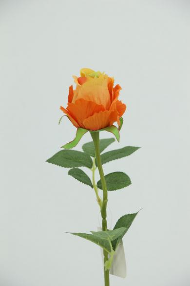 J50J20G25