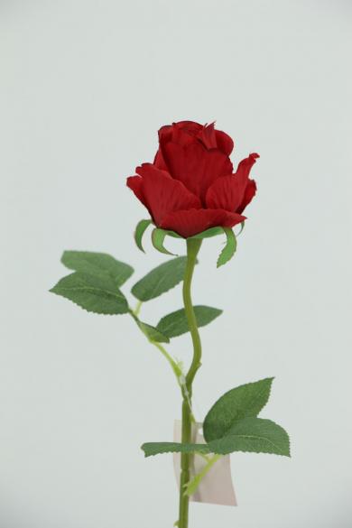 R50