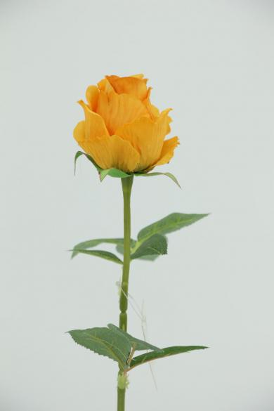Y80