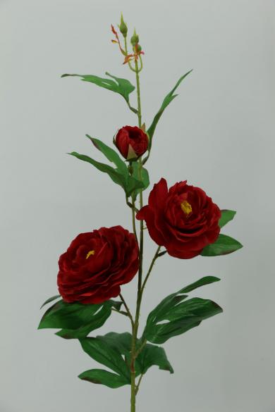 R45