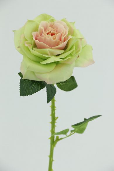 angle rose dia 13cm ,stem 47cm