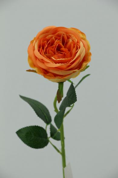 J30J50