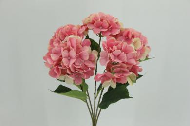 hydrangea bush X5 ,stem 46cm