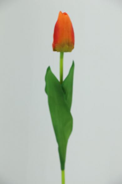 J60