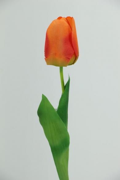 J60